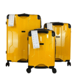 Pensive Paris Set of 3 Suitcase