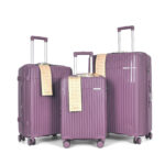 Pensive Oxford Set of 3 Suitcase